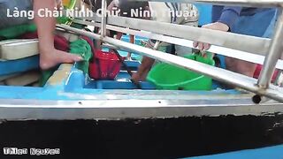 Ниньчу: рыбацкий берег в сезон сардины и день на воде
