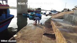 Ниньчу: рыбацкий берег в сезон сардины и день на воде