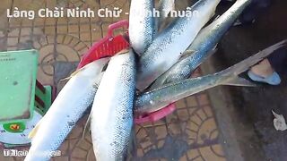 Ниньчу: рыбацкий берег в сезон сардины и день на воде
