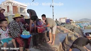 Ниньчу: рыбацкий берег в сезон сардины и день на воде