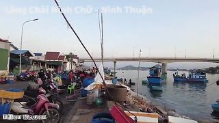 Ниньчу: рыбацкий берег в сезон сардины и день на воде