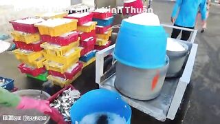 Ниньчу: рыбацкий берег в сезон сардины и день на воде