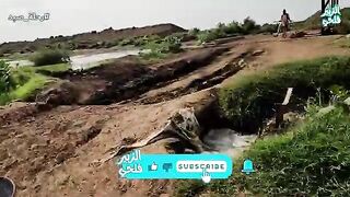 Сеть дяди Мухаммада на ирригационном канале в суданской Гезире