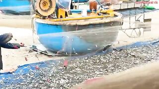 Лонгхай: сельдяные сети на берегу и туристический морской день