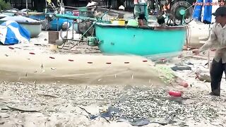 Лонгхай: сельдяные сети на берегу и туристический морской день