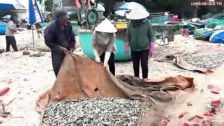 Лонгхай: сельдяные сети на берегу и туристический морской день
