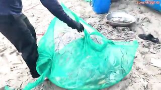 Лонгхай: сельдяные сети на берегу и туристический морской день