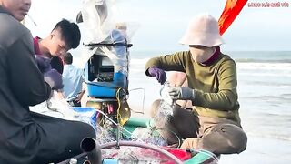 Лонгхай: сельдяные сети на берегу и туристический морской день