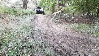 Нахлыст на Дунае в Венгрии недалеко от Будапешта