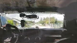 Нахлыст на Дунае в Венгрии недалеко от Будапешта