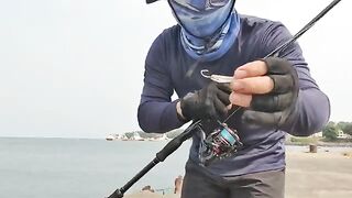 Ловля двух морских хищников с судна у причала в Малабо