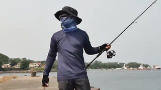 Ловля двух морских хищников с судна у причала в Малабо