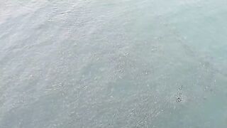 Ловля двух морских хищников с судна у причала в Малабо
