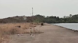 Ловля двух морских хищников с судна у причала в Малабо