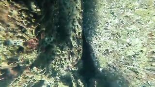 Подводная охота с Пеппе у Неаполя в прозрачной воде