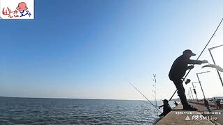 Ловля кефали в районе Ёнджондо в Инчхоне