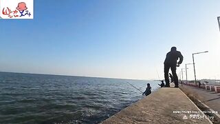 Ловля кефали в районе Ёнджондо в Инчхоне