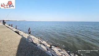 Ловля кефали в районе Ёнджондо в Инчхоне