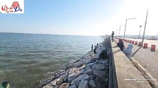 Ловля кефали в районе Ёнджондо в Инчхоне