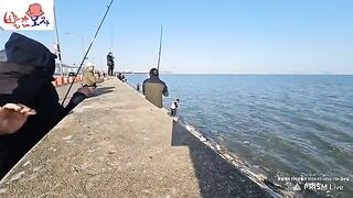 Ловля кефали в районе Ёнджондо в Инчхоне