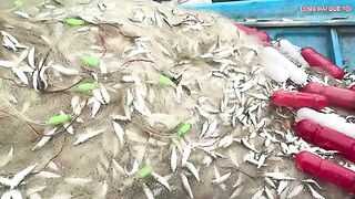 Лонгхай: рыба на берегу и выбор любительского морского маршрута