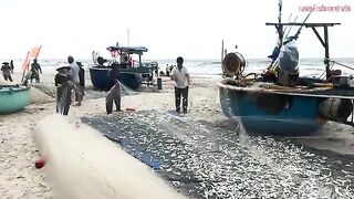 Лонгхай: рыба на берегу и выбор любительского морского маршрута