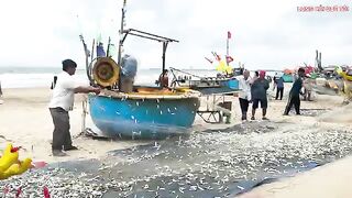 Лонгхай: рыба на берегу и выбор любительского морского маршрута