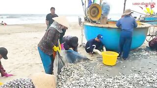 Лонгхай: рыба на берегу и выбор любительского морского маршрута