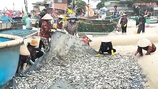 Лонгхай: рыба на берегу и выбор любительского морского маршрута