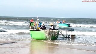 Лонгхай: рыба на берегу и выбор любительского морского маршрута