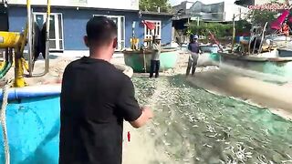Лонгхай: рыба на берегу и выбор любительского морского маршрута
