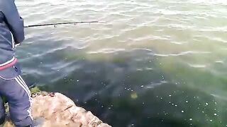 Махачкала: собираем рыболовный день у каспийских водоемов