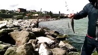 Махачкала: собираем рыболовный день у каспийских водоемов
