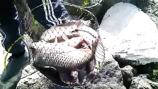 Махачкала: собираем рыболовный день у каспийских водоемов