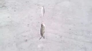 Махачкала: собираем рыболовный день у каспийских водоемов