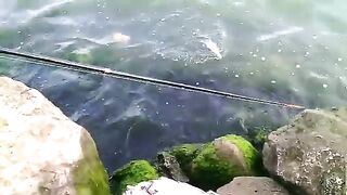 Махачкала: собираем рыболовный день у каспийских водоемов