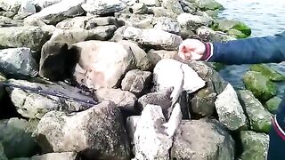 Махачкала: собираем рыболовный день у каспийских водоемов