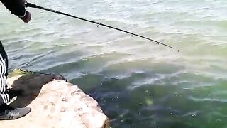 Махачкала: собираем рыболовный день у каспийских водоемов