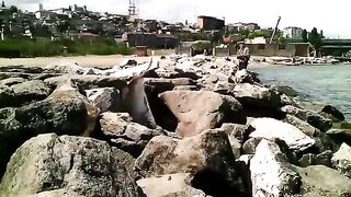 Махачкала: собираем рыболовный день у каспийских водоемов