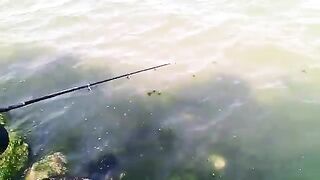 Махачкала: собираем рыболовный день у каспийских водоемов