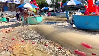 Утренняя помощь рыбакам с неводом на пляже Лонгхай во Вьетнаме