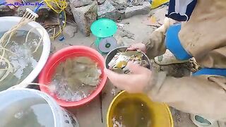 Утренняя помощь рыбакам с неводом на пляже Лонгхай во Вьетнаме