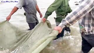 Утренняя помощь рыбакам с неводом на пляже Лонгхай во Вьетнаме