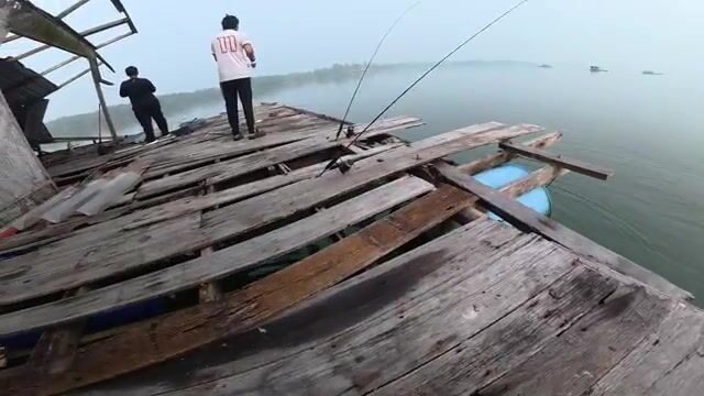 Ночь на рыболовном плоту: поездка с наставником и работа снастью