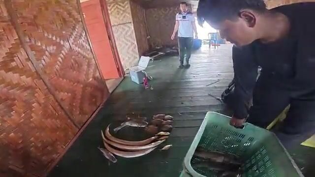 Ночь на рыболовном плоту: поездка с наставником и работа снастью