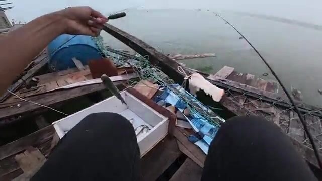 Ночь на рыболовном плоту: поездка с наставником и работа снастью