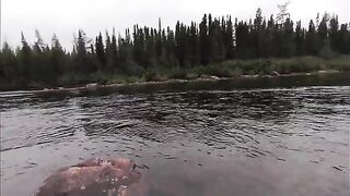 Семга на мокрые мушки в первый день на реке Хант в Лабрадоре