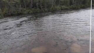 Семга на мокрые мушки в первый день на реке Хант в Лабрадоре