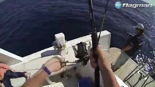 Джиг вдали от дневных точек в Сома-Бей на Красном море