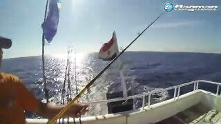 Джиг вдали от дневных точек в Сома-Бей на Красном море